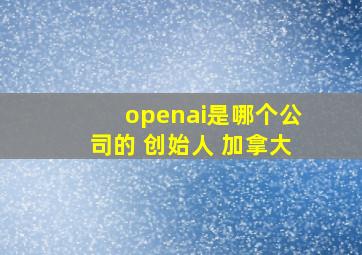 openai是哪个公司的 创始人 加拿大